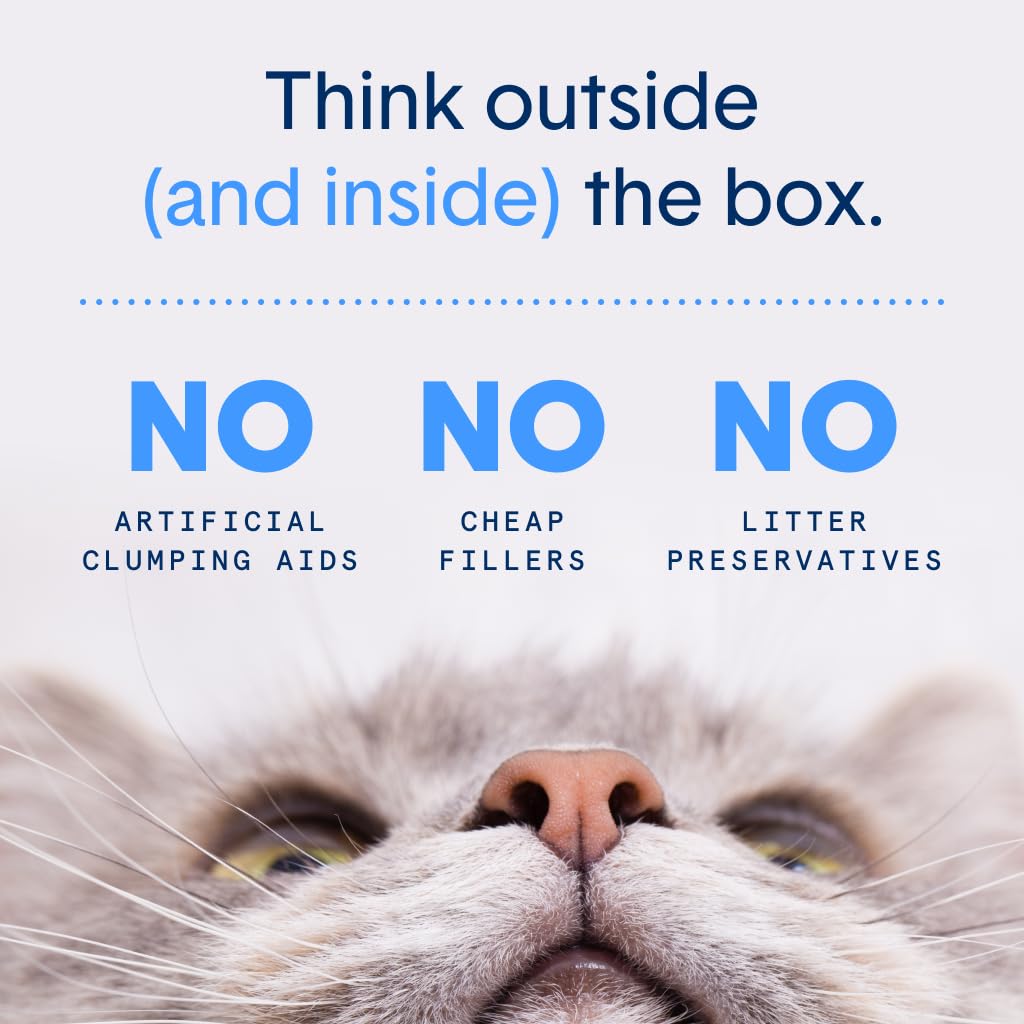 Probiotic Cat Litter, Non-Clumping, Crystal, 6lb U2107