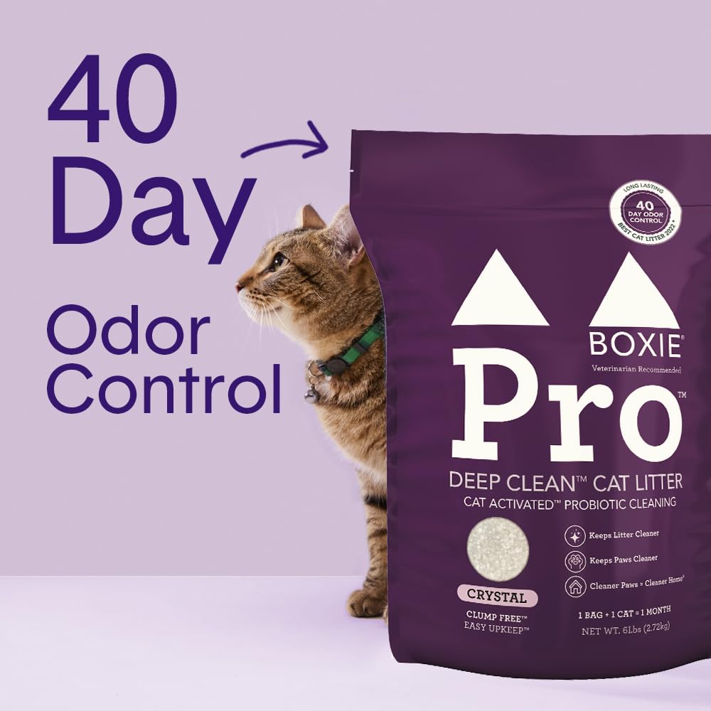 Probiotic Cat Litter, Non-Clumping, Crystal, 6lb U2107