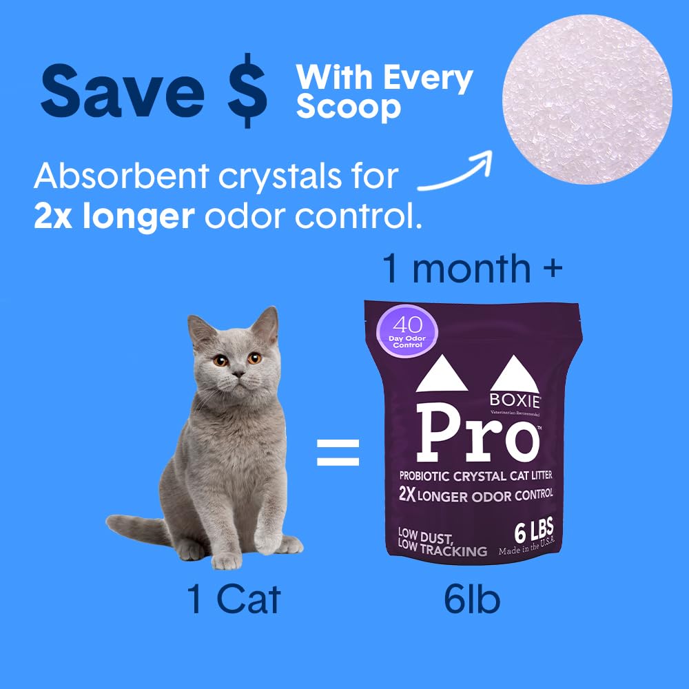 Probiotic Cat Litter, Non-Clumping, Crystal, 6lb U2107