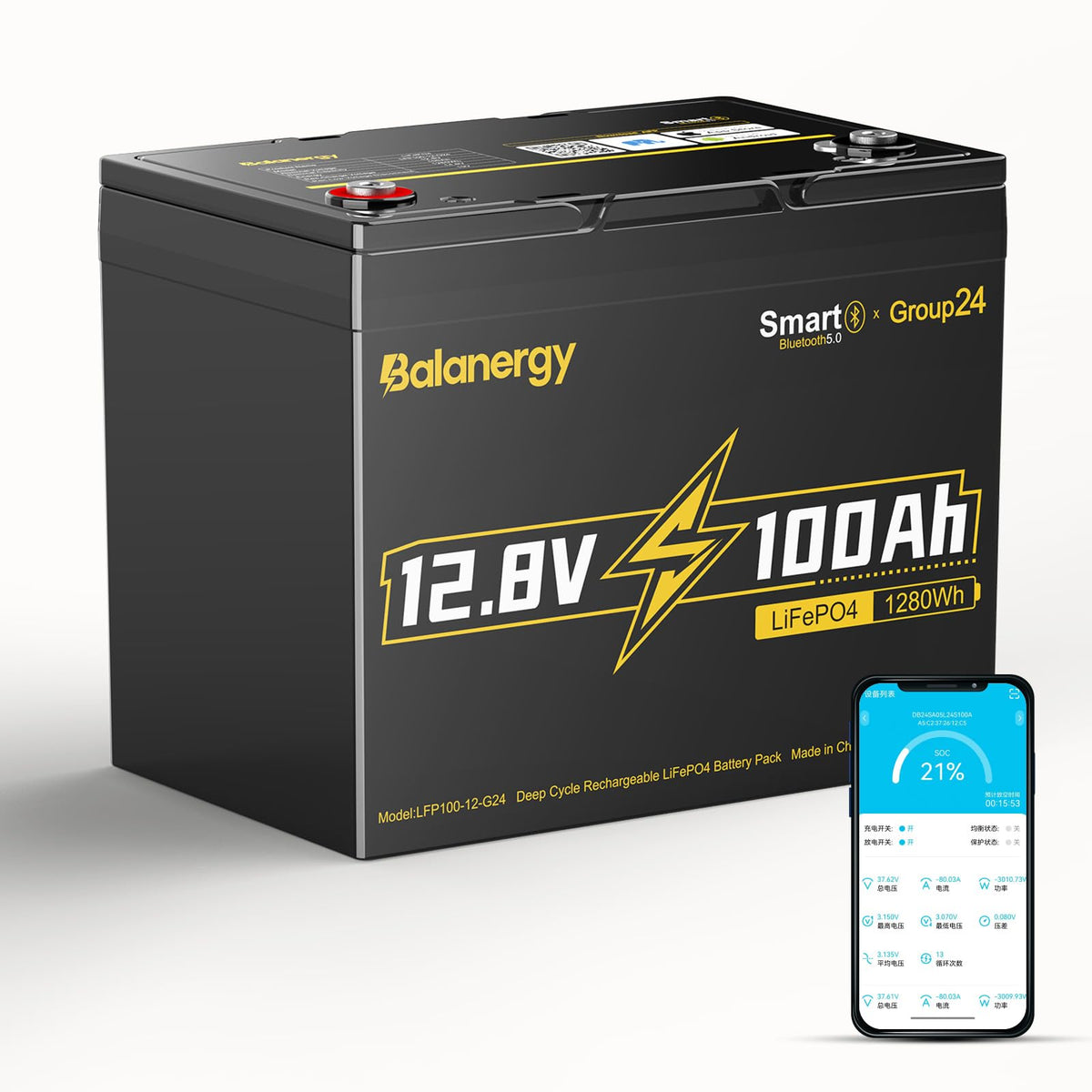 12V 100Ah LiFePO4 Lithium Battery with 100A BMS O62486