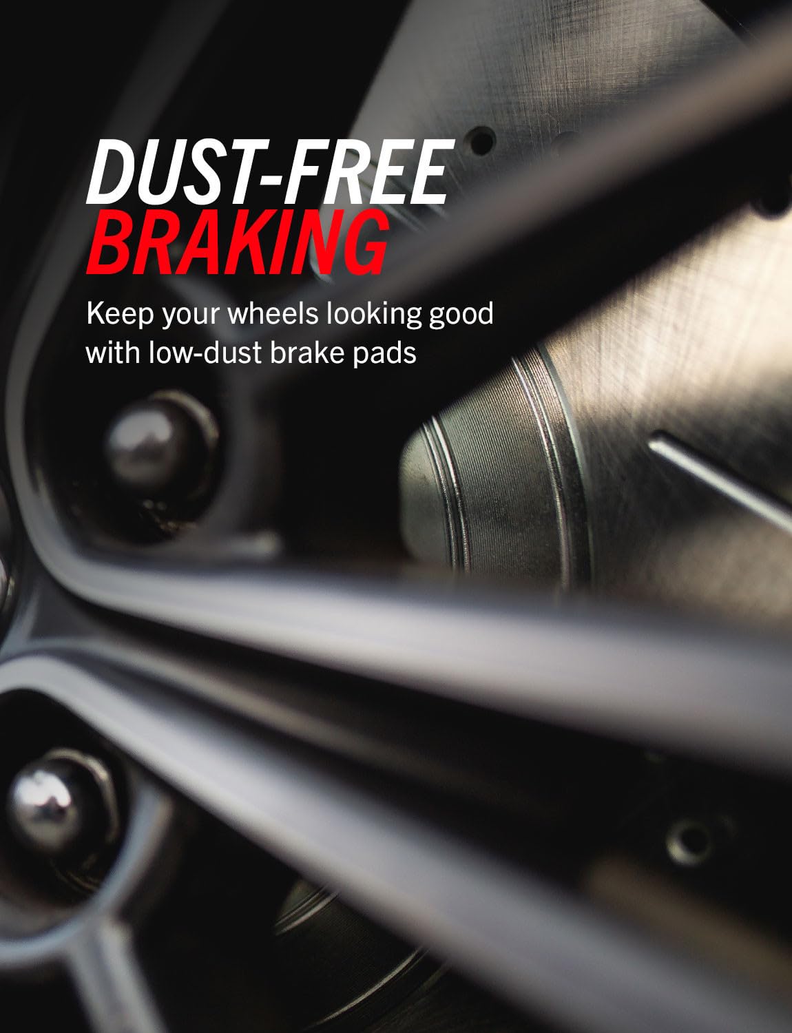 Rear Brake Pad & Rotor Kit V821900