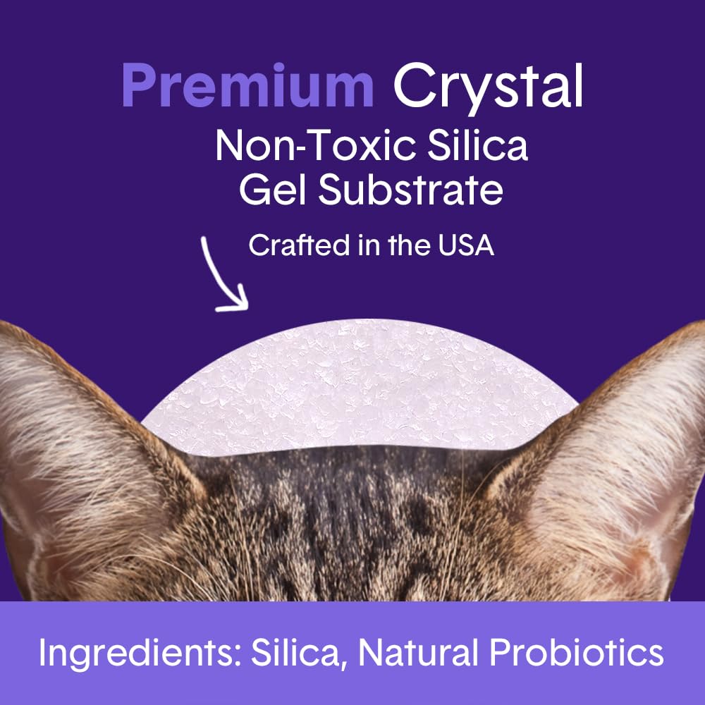 Probiotic Cat Litter, Non-Clumping, Crystal, 6lb U2107