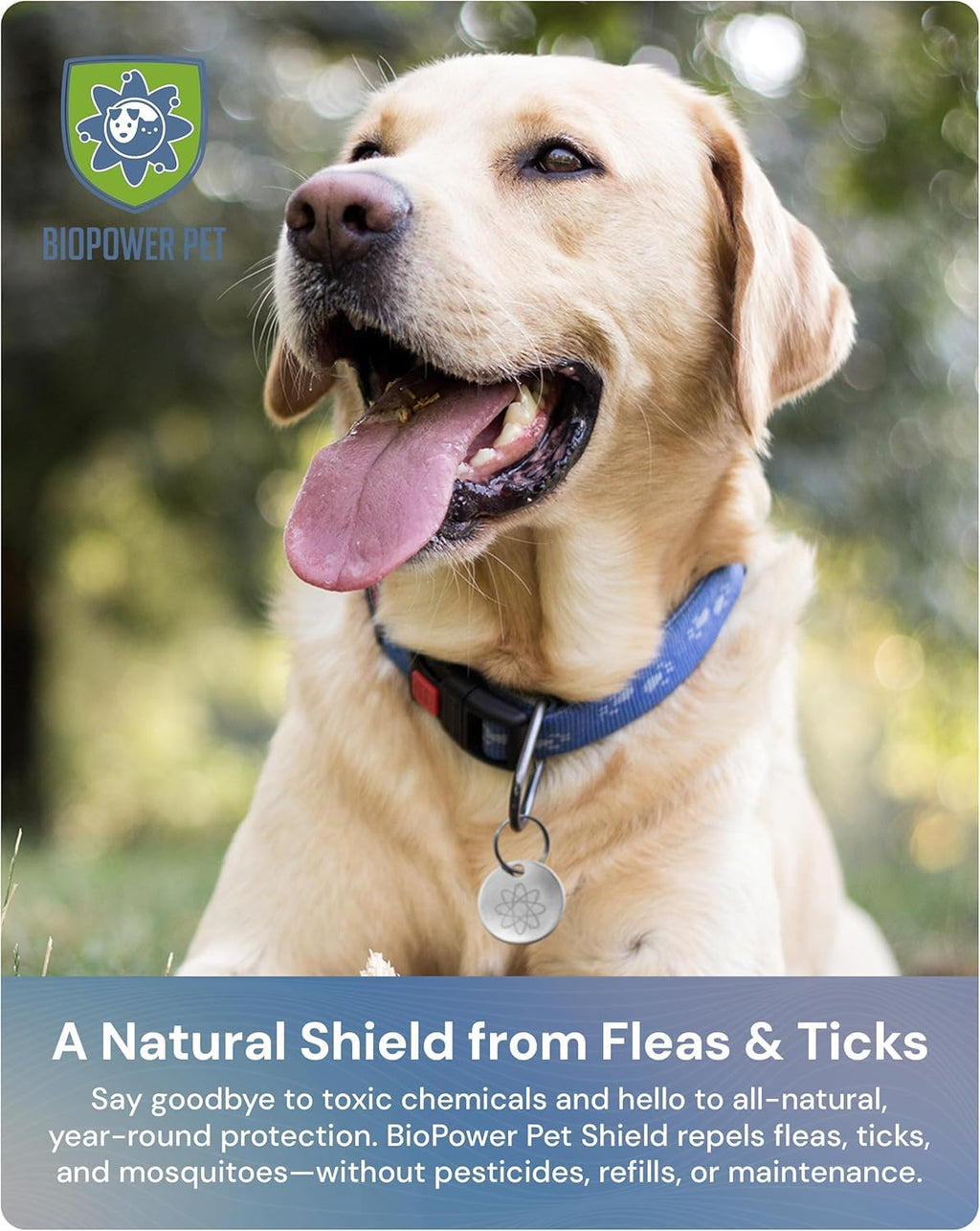 Natural Flea & Tick Repellent Collar Tag for Dogs & Cats Stainless Steel 2 Pack Z274
