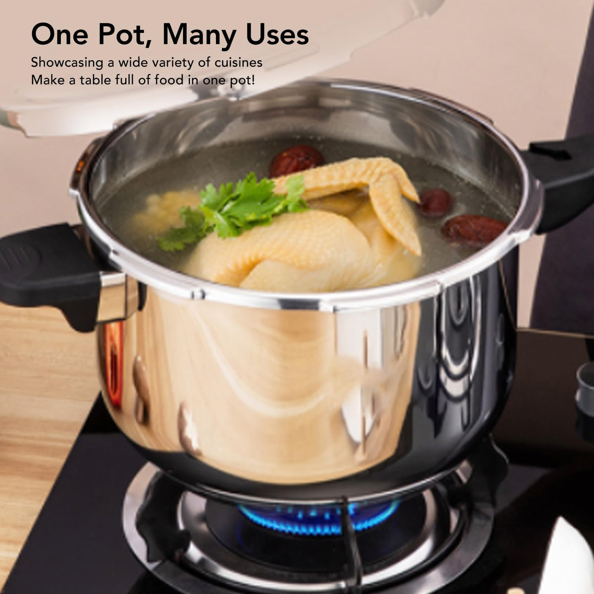 Stainless Steel 3L Pressure Cooker D6034