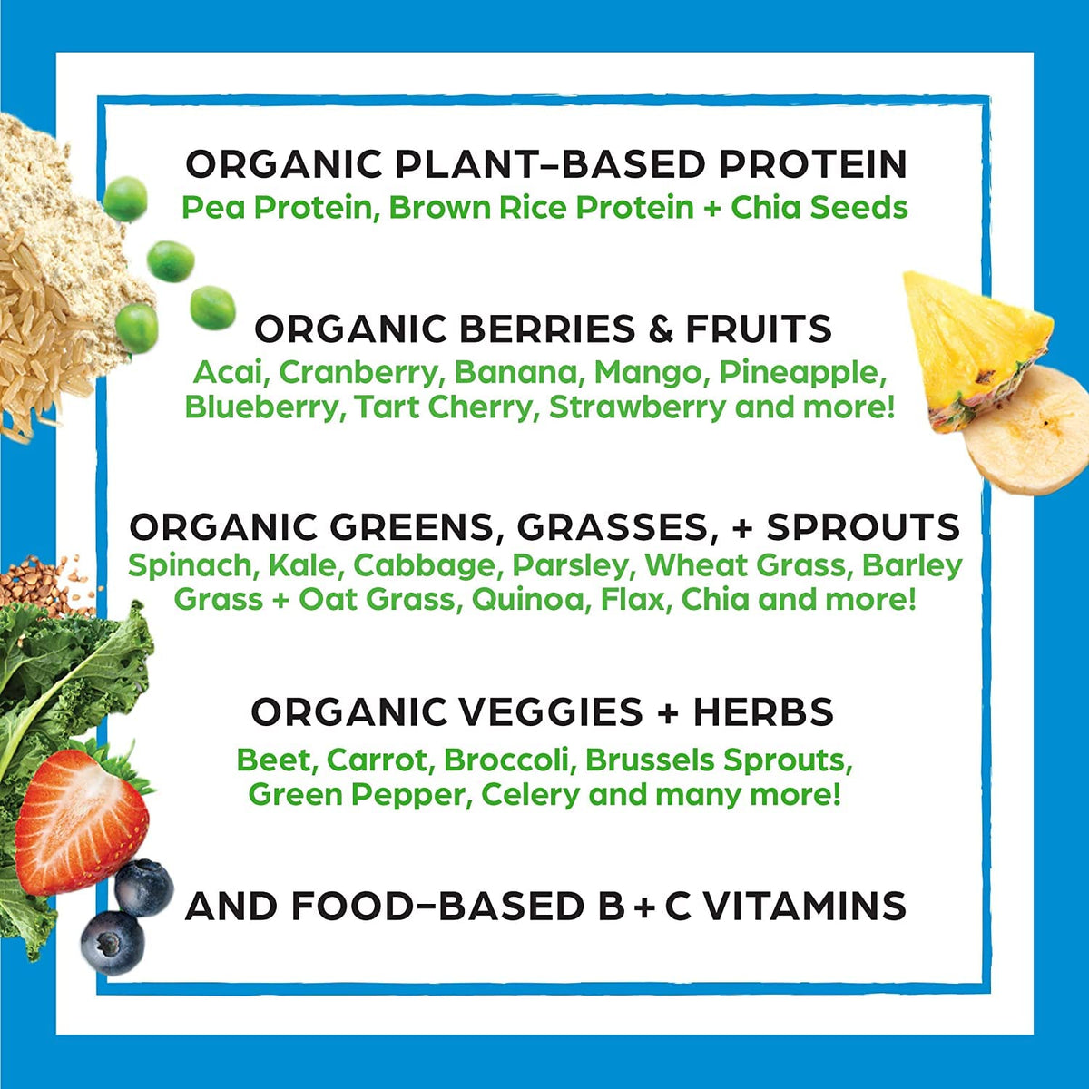 Organic Protein and Greens Powder N292