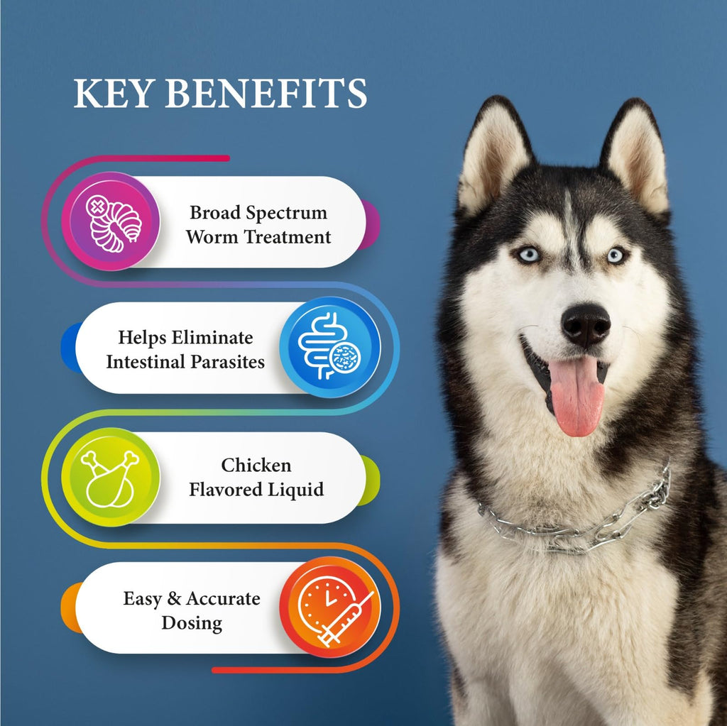 Broad Spectrum Dog Dewormer Treatment 120ml Banana Flavour P7679