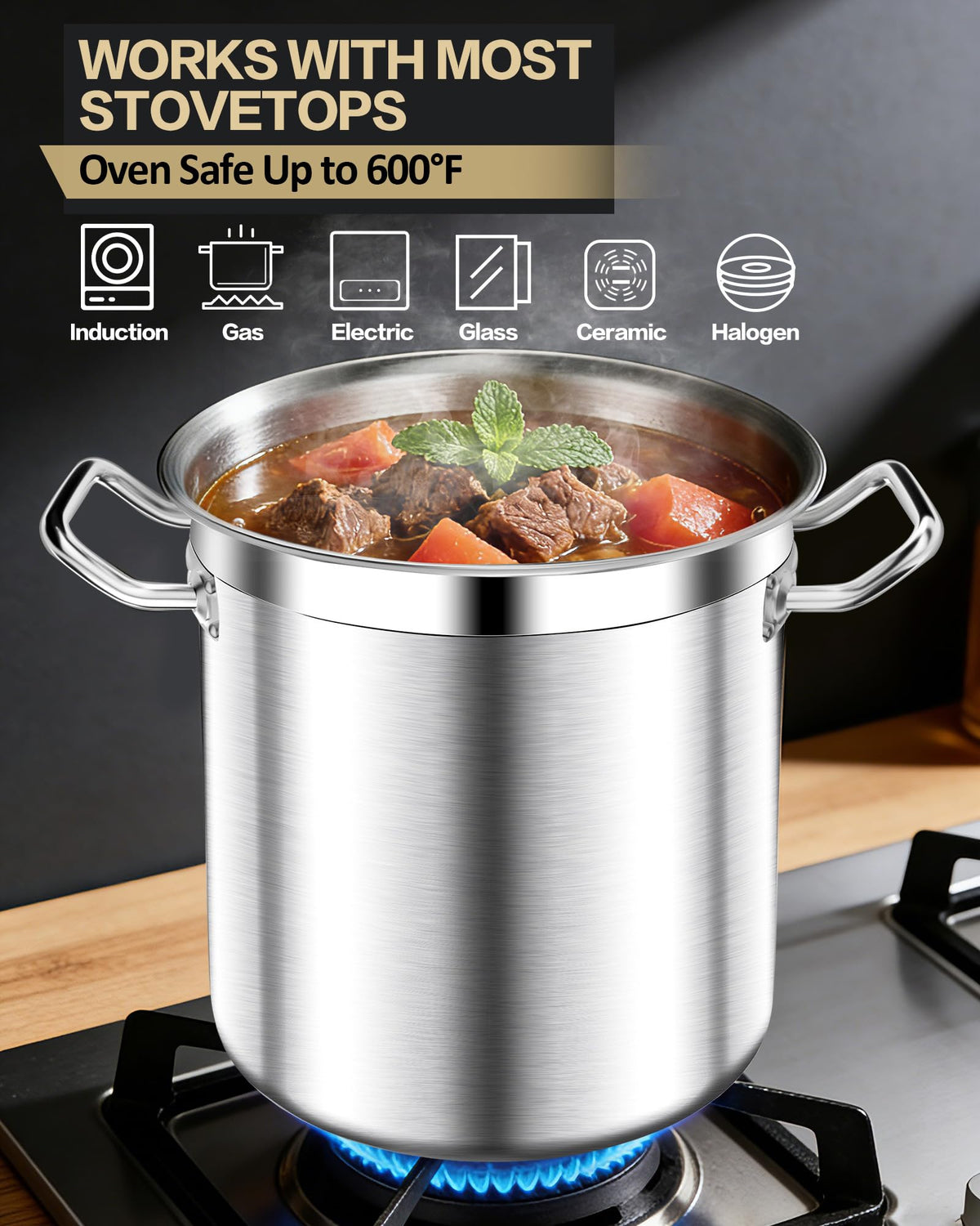 Large Stainless Steel Stockpot with Lid 40 Quart Z60347