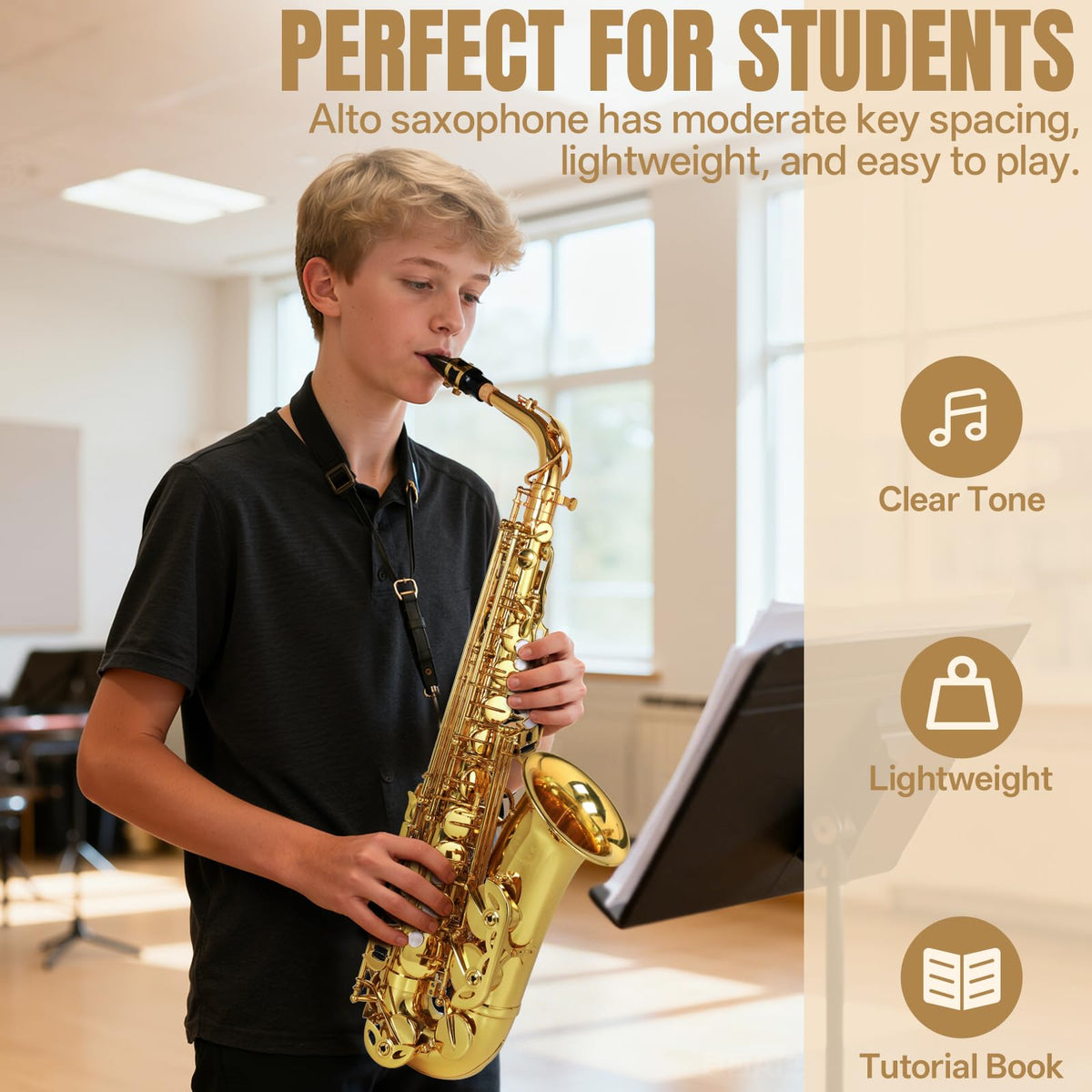 E Flat Alto Saxophone Full Kit with Portable Case (Gold) L834
