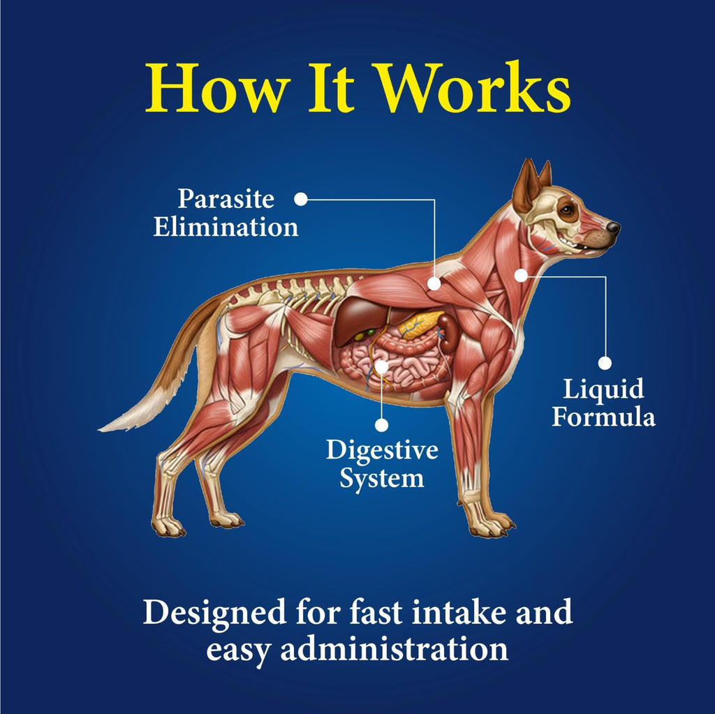Broad Spectrum Dog Dewormer Treatment 120ml Banana Flavour P7679