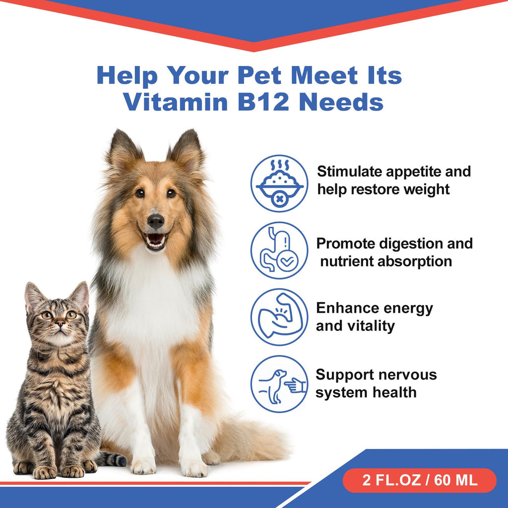 Vitamin B12 Liquid Supplement 60 ml M35682