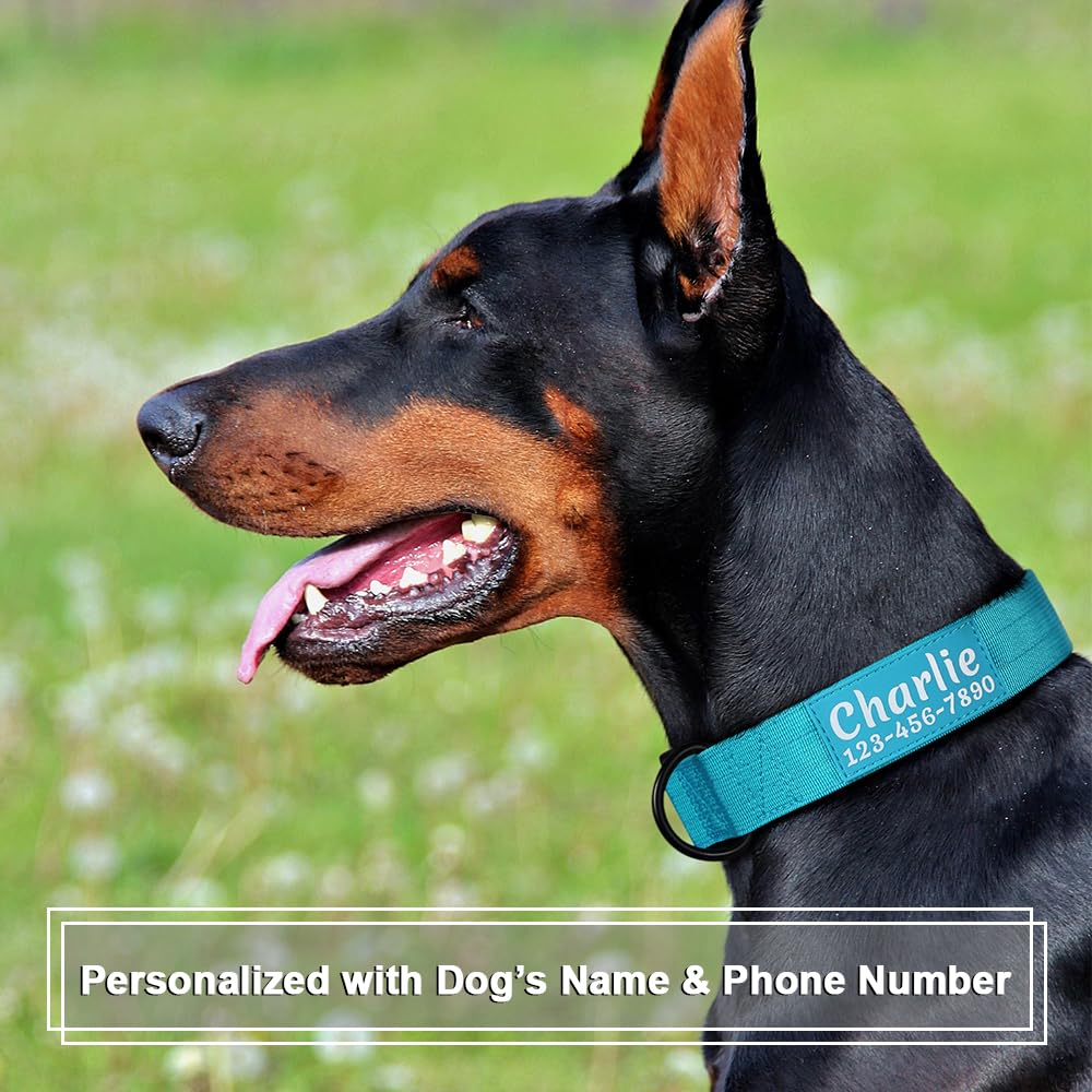 Tactical Dog Collar with Name and Phone Number P82910