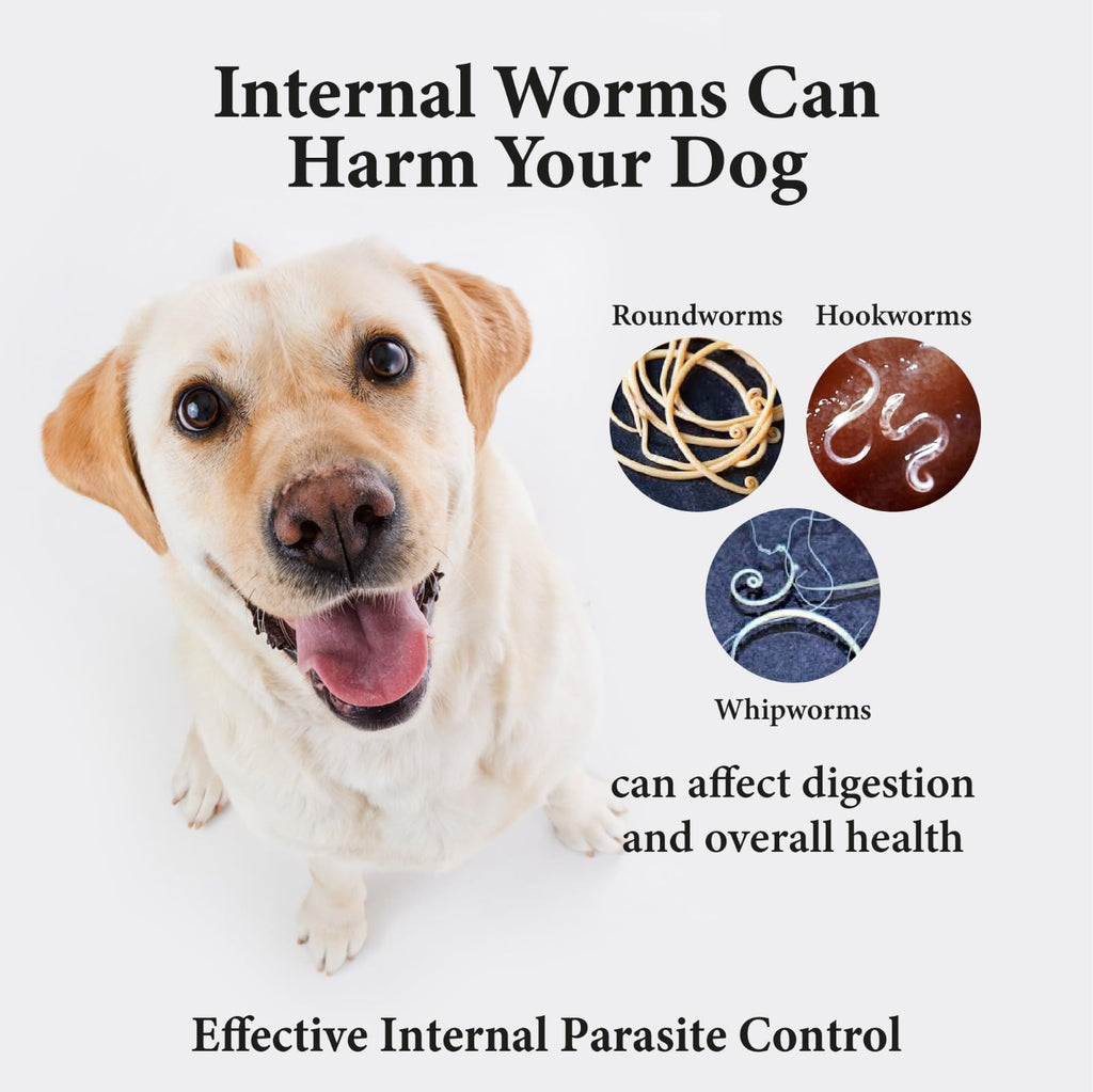 Broad Spectrum Dog Dewormer Treatment 120ml Banana Flavour P7679