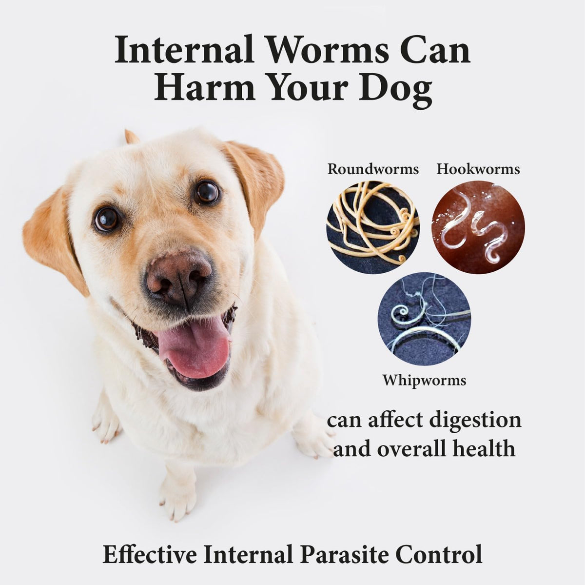 Broad Spectrum Dog Dewormer Treatment 120ml Banana Flavour P7679