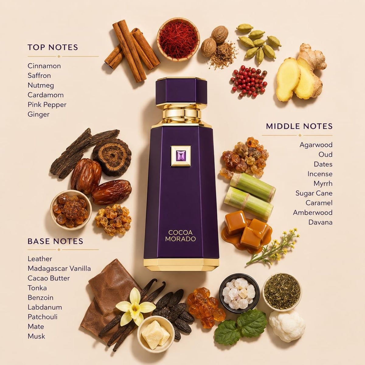 Cocoa Morado EDP 100ml H557