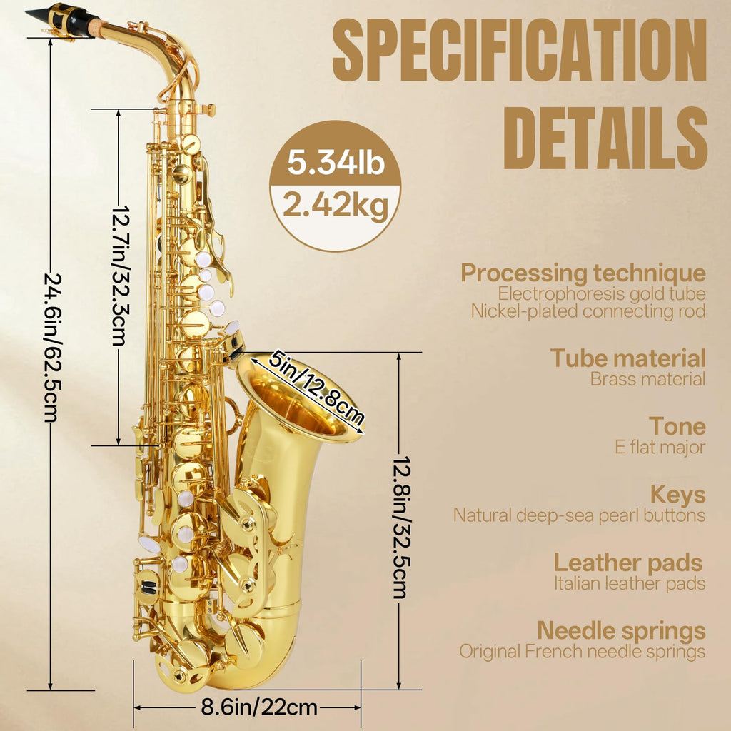 E Flat Alto Saxophone Full Kit with Portable Case (Gold) L834