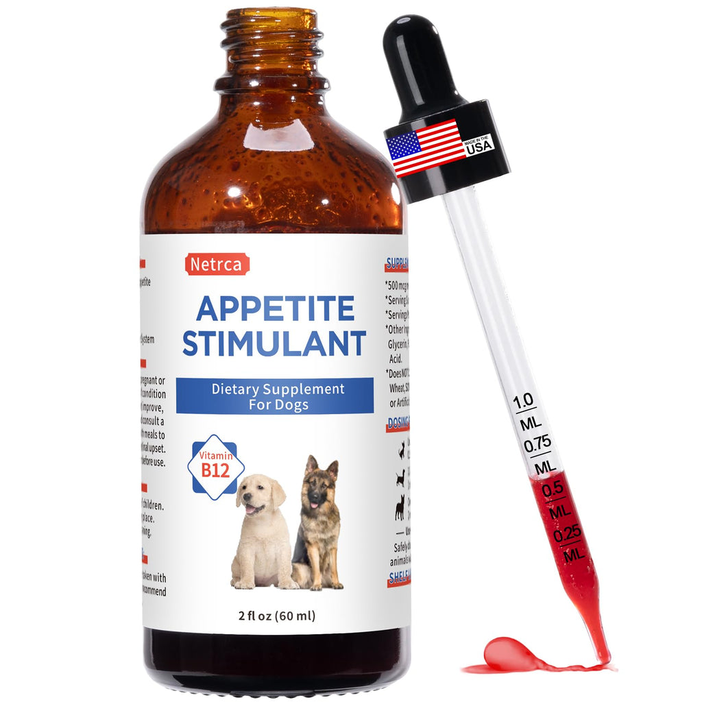 Vitamin B12 Liquid Supplement 60 ml M35682