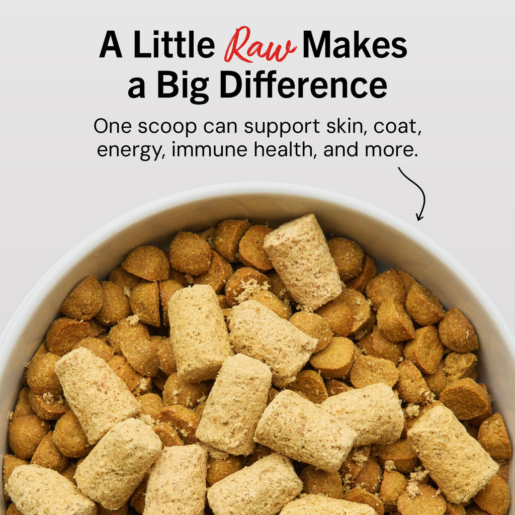 Freeze-Dried Raw Beef Dog Food Topper 8 oz C38772