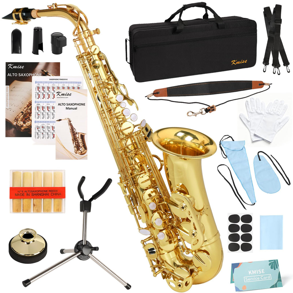 E Flat Alto Saxophone Full Kit with Portable Case (Gold) L834