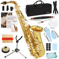 E Flat Alto Saxophone Full Kit with Portable Case (Gold) L834