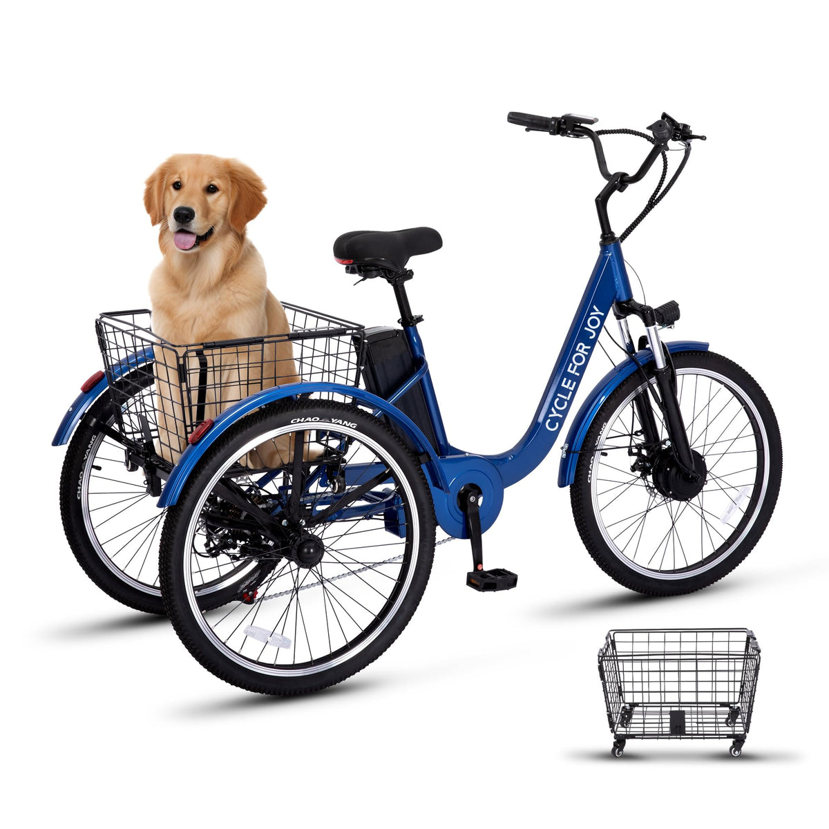 3 Wheel Electric Bike Z8287