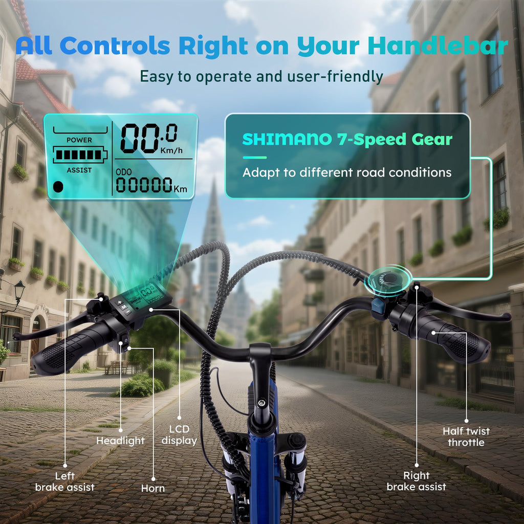 3 Wheel Electric Bike Z8287