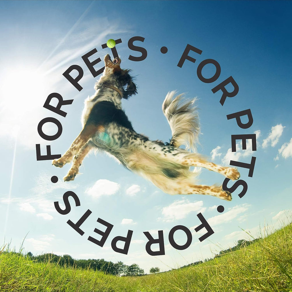 Fragrance Free Unscented Dog Shampoo 1 Gallon P900