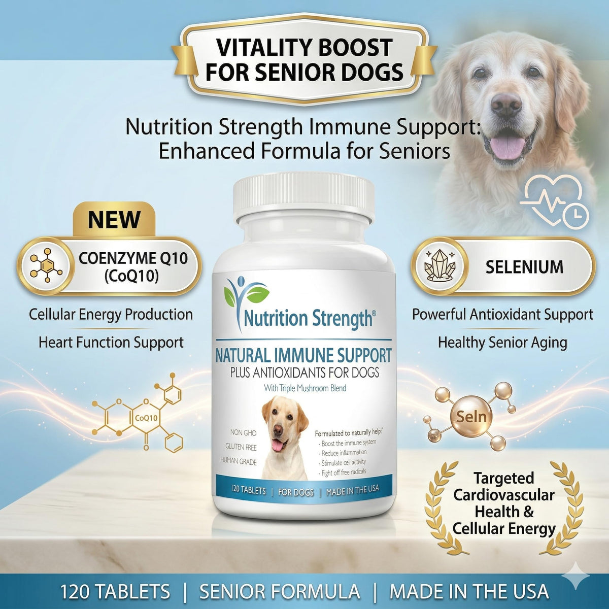 Immune Support for Dogs 120 Chewable Tablets T165095