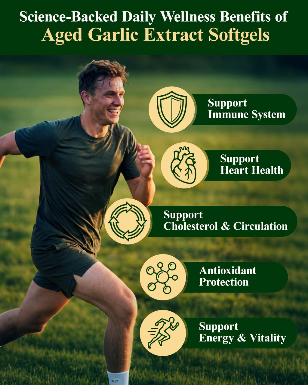 Odorless Garlic Supplement, 300 Softgels Y6737