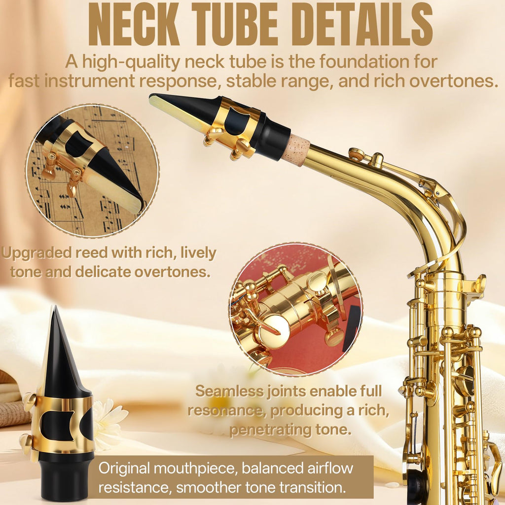E Flat Alto Saxophone Full Kit with Portable Case (Gold) L834