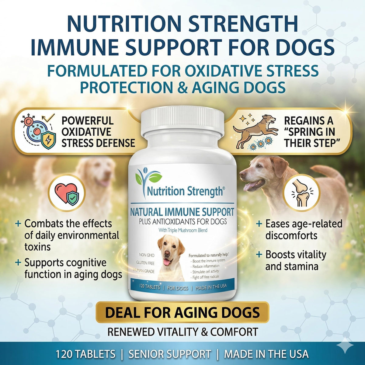 Immune Support for Dogs 120 Chewable Tablets T165095