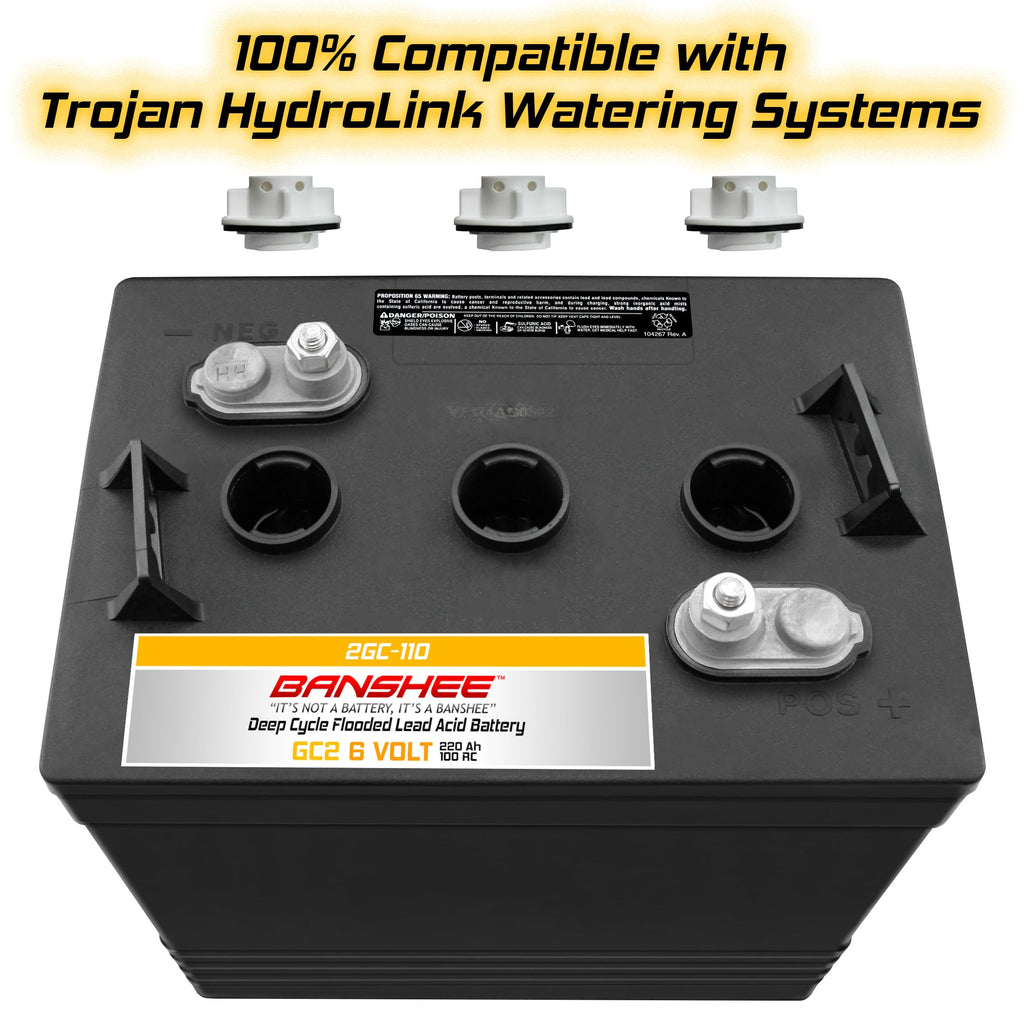 220Ah Deep Cycle Golf Cart Batteries 4-Pack Y185971