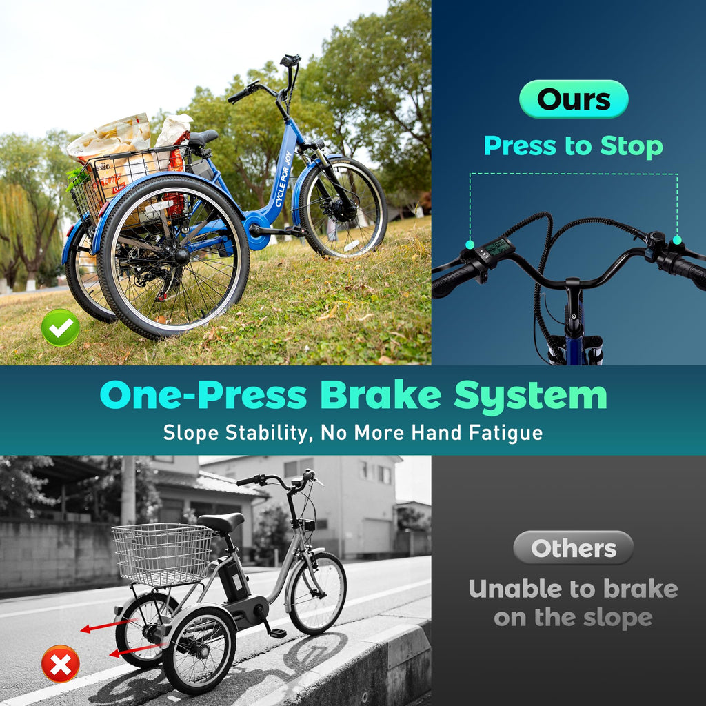 3 Wheel Electric Bike Z8287