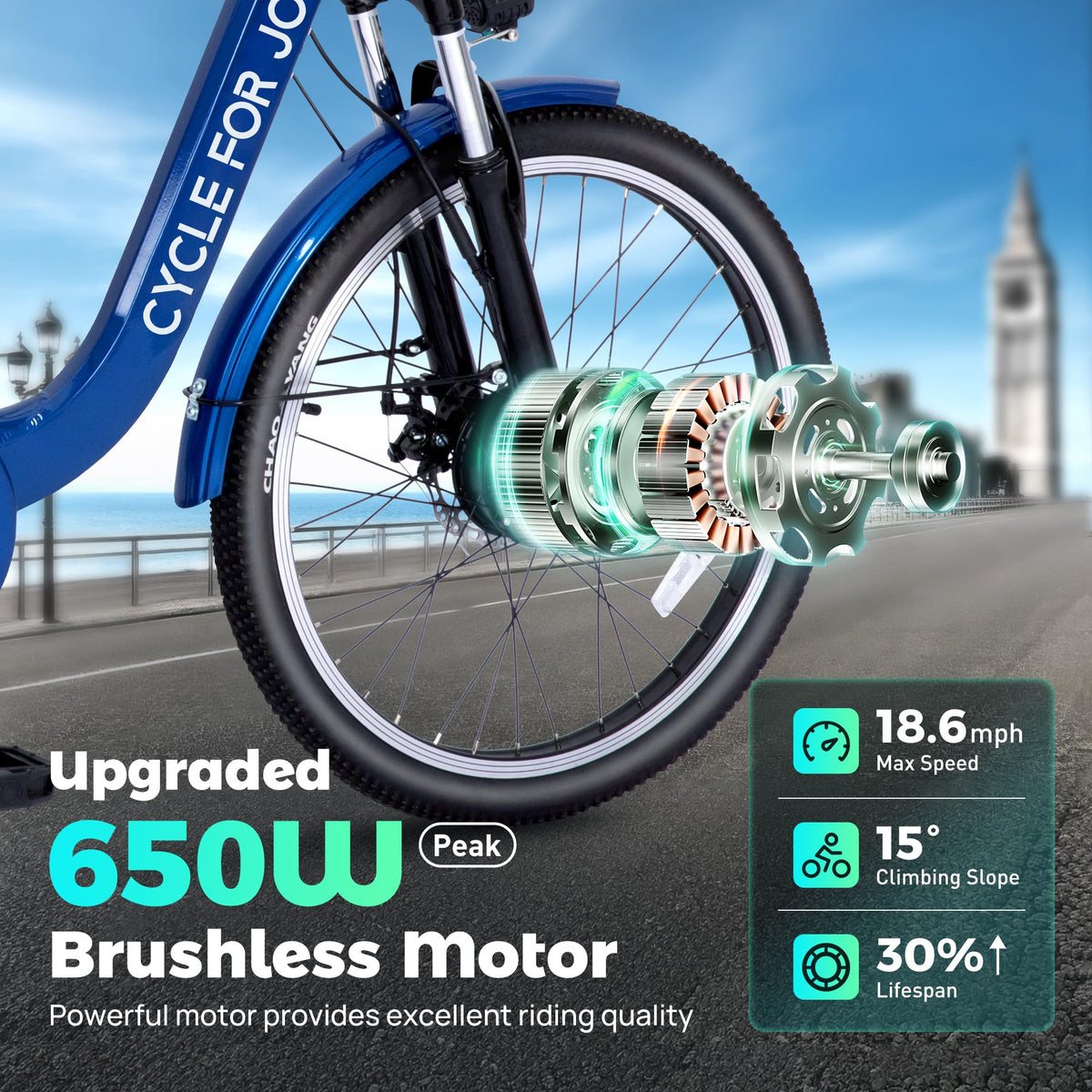 3 Wheel Electric Bike Z8287