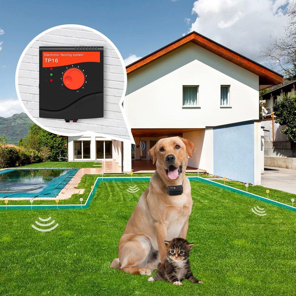 Electric Dog Fence, 984 Ft Wire, IP66 Waterproof Receiver J13969