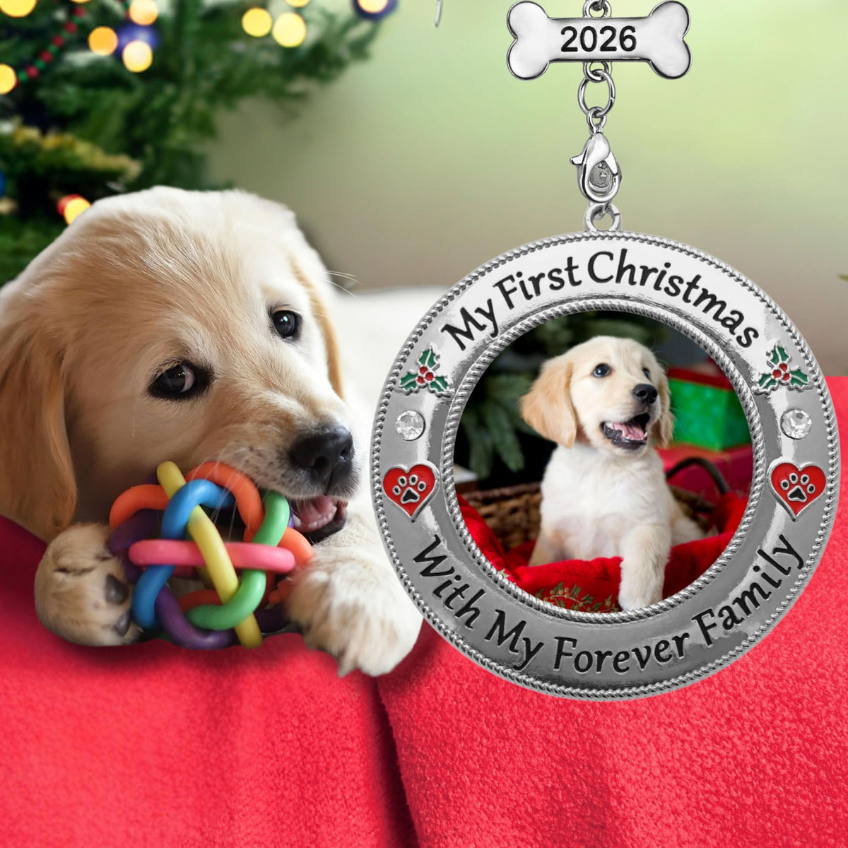 Dog Photo Ornament with Red Heart, 3 Inch D2158