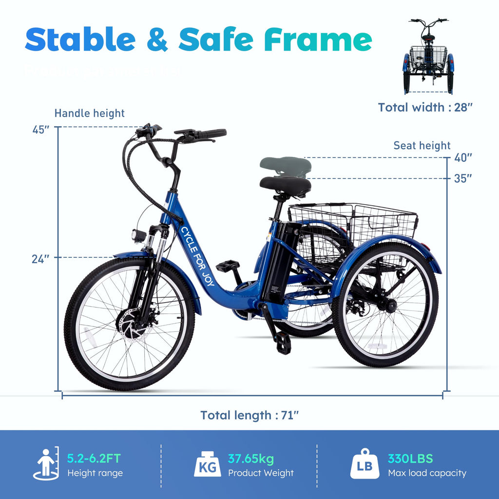 3 Wheel Electric Bike Z8287