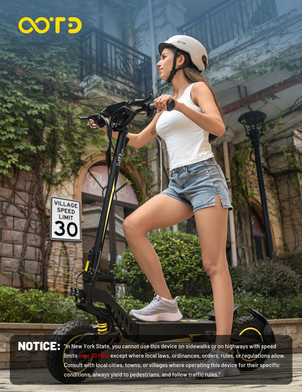 Electric Scooter with 11" All-Terrain Tire J8791