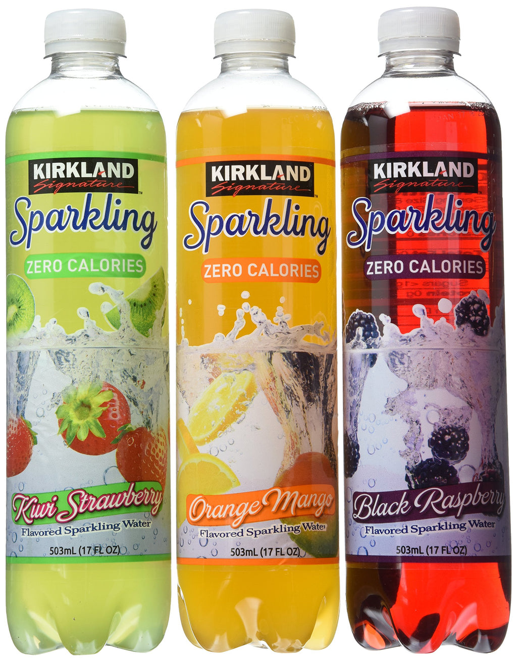 Sparkling Water Bottle Variety Pack 1.7 Ounce T231