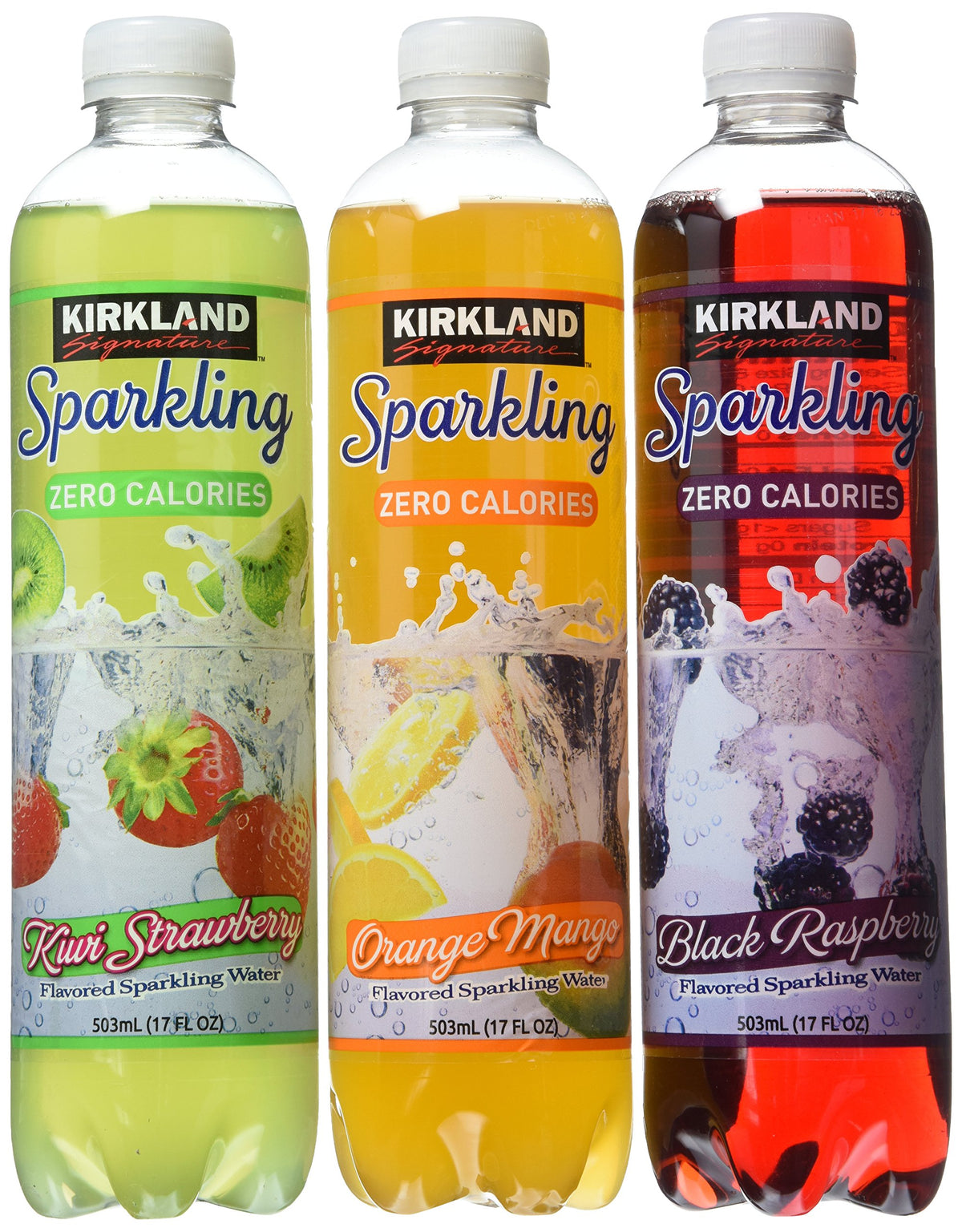 Sparkling Water Bottle Variety Pack 1.7 Ounce T231