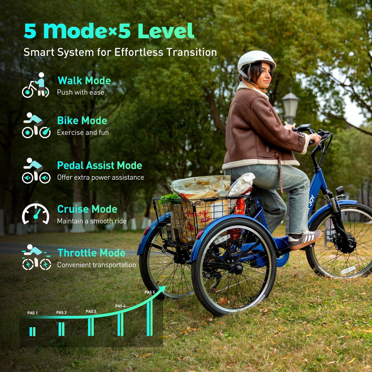 3 Wheel Electric Bike Z8287