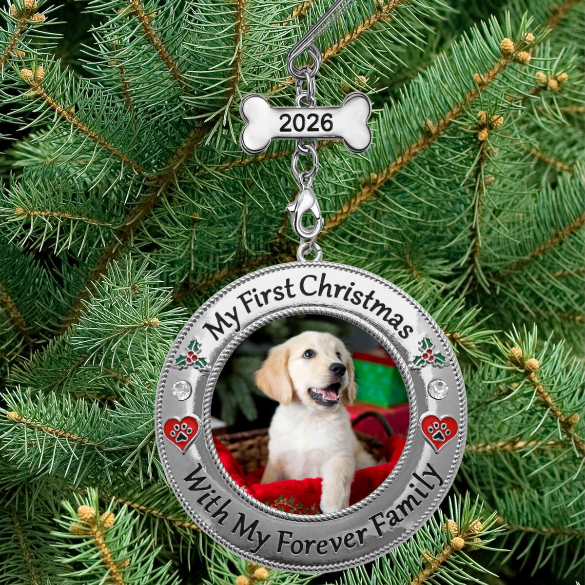 Dog Photo Ornament with Red Heart, 3 Inch D2158